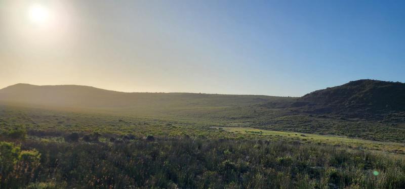 0 Bedroom Property for Sale in Albertinia Western Cape